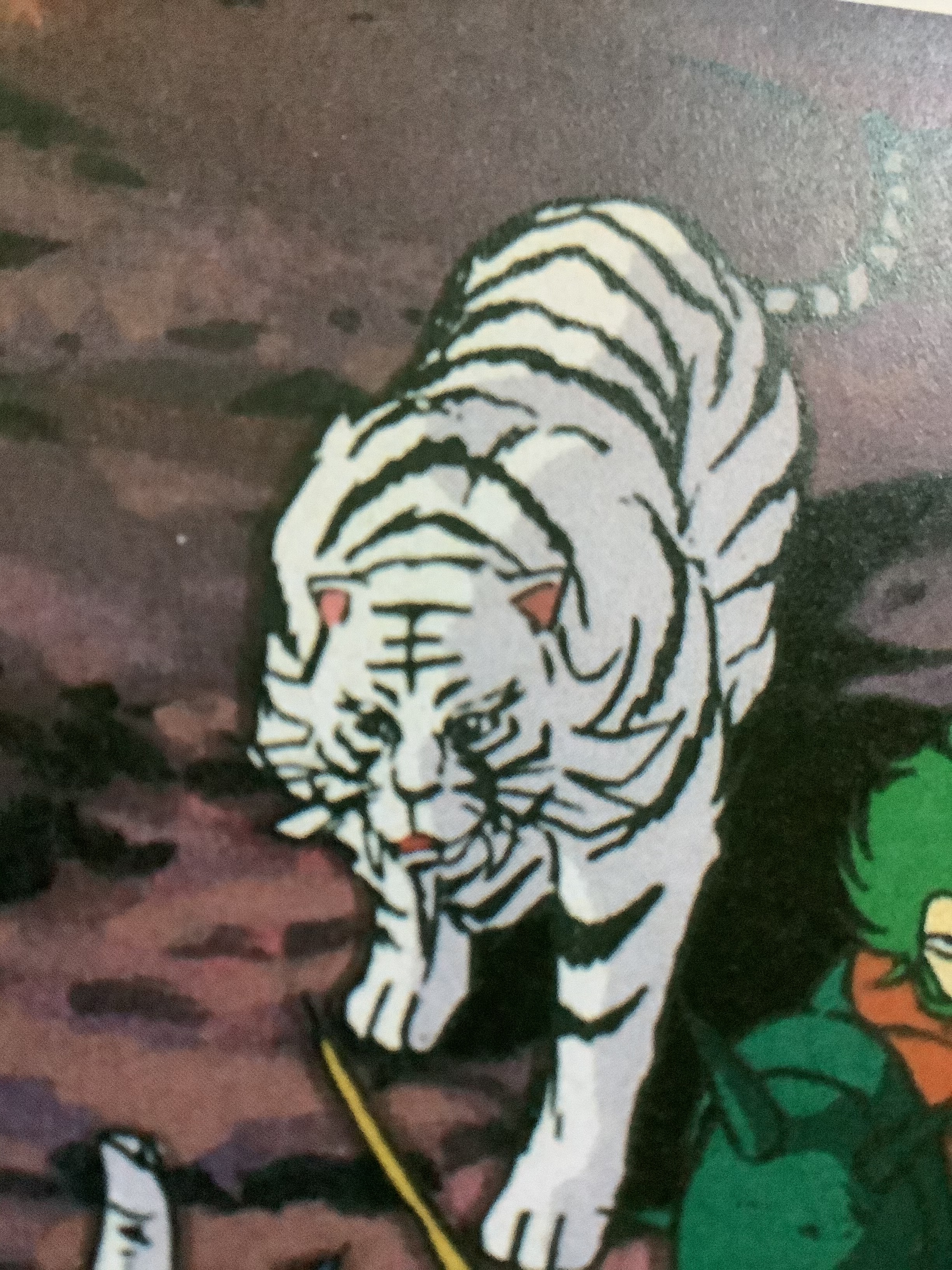 pic of White Blaze